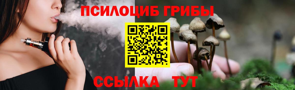 где продают   Псилоцибиновые грибы Psilocybine cubensis  Вход с VPN  Кириши 